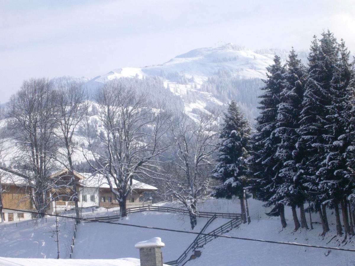 Gaestehaus Roland Aparthotel Kirchberg in Tirol Bagian luar foto